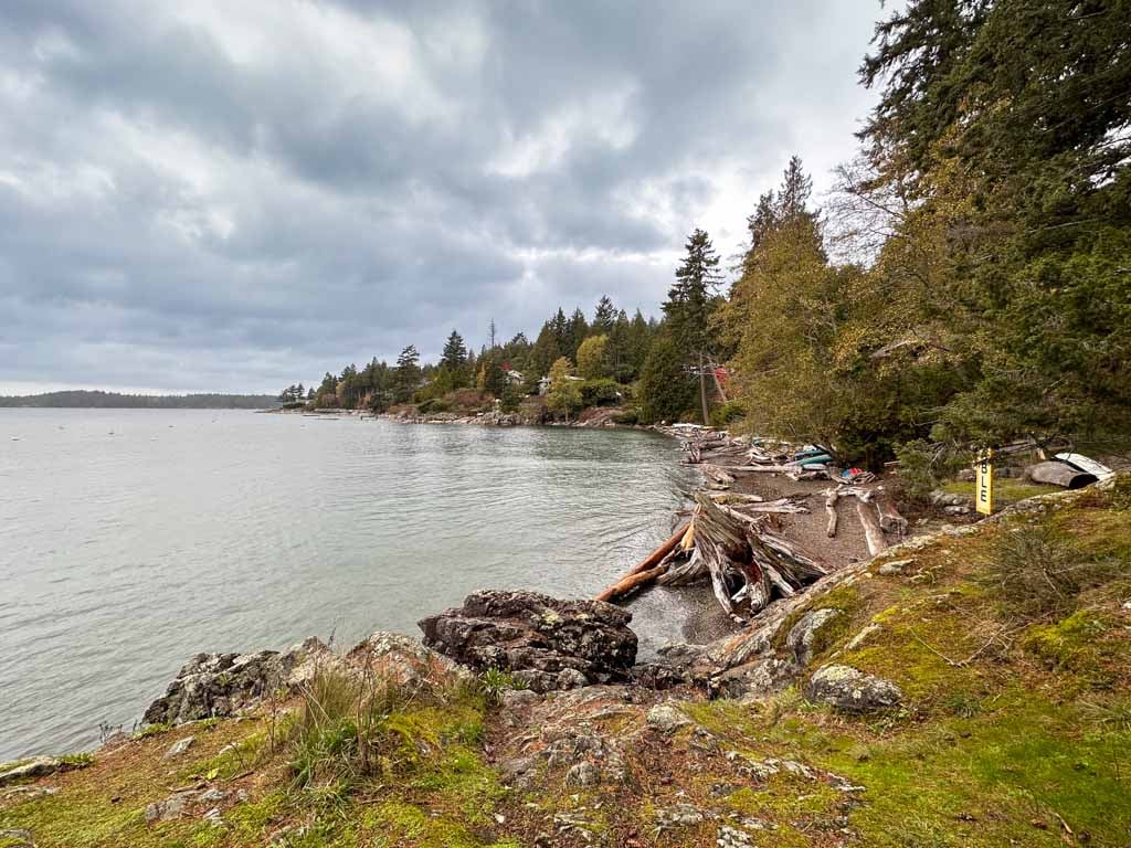 Logs on a beach on Bowen Island