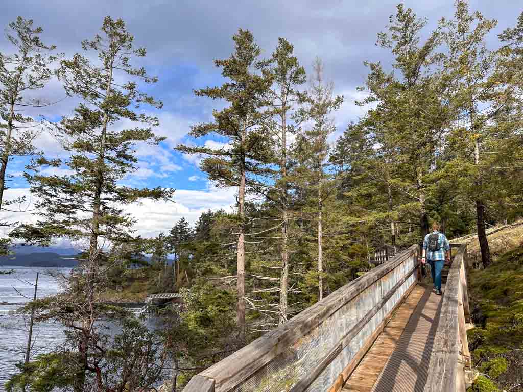 A man walks on an elevated boardwalk at Cape Roger Curtis