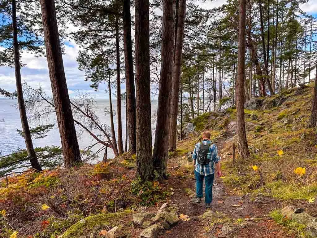 A man walks on a forested trail at Cape Roger Curtis