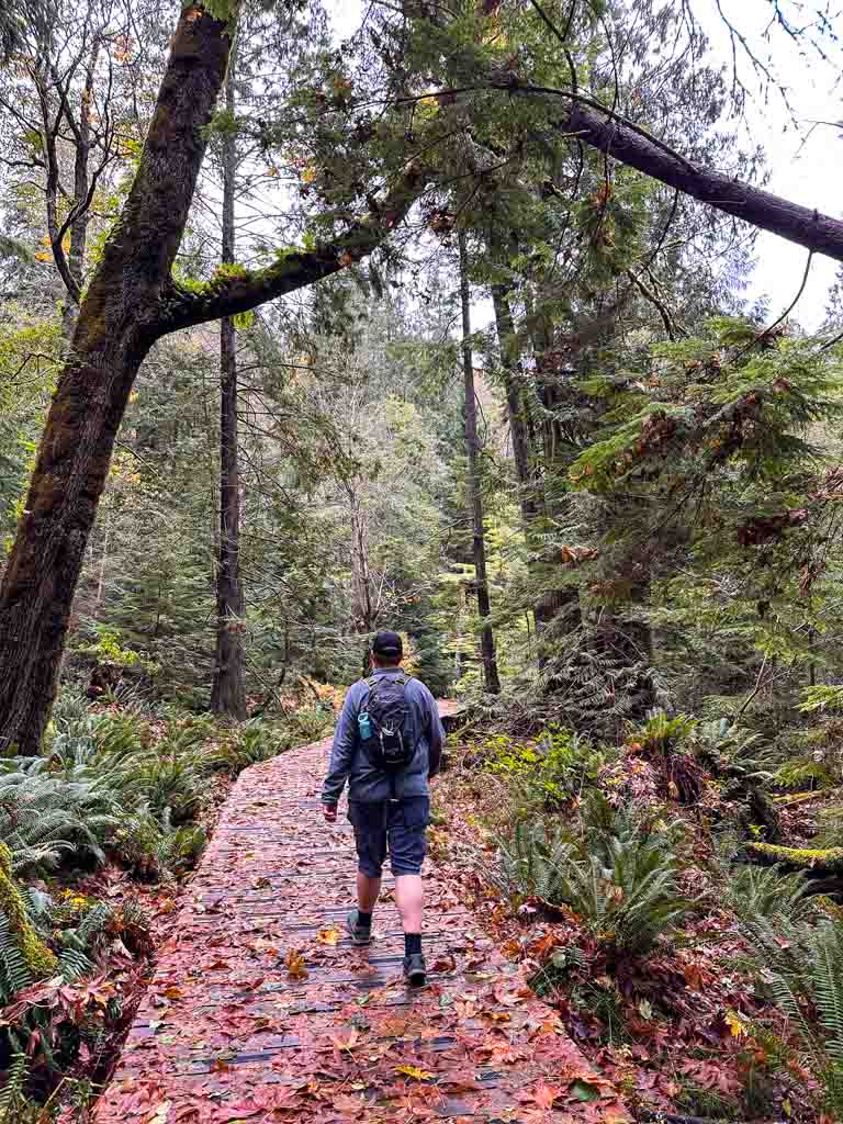 A man walks on a leaf covered boardwalk around Killarney Lake in Crippen Regional Park on Bowen Island