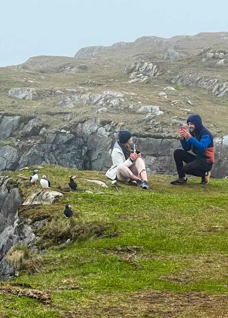 Two tourists take a selfie with puffis