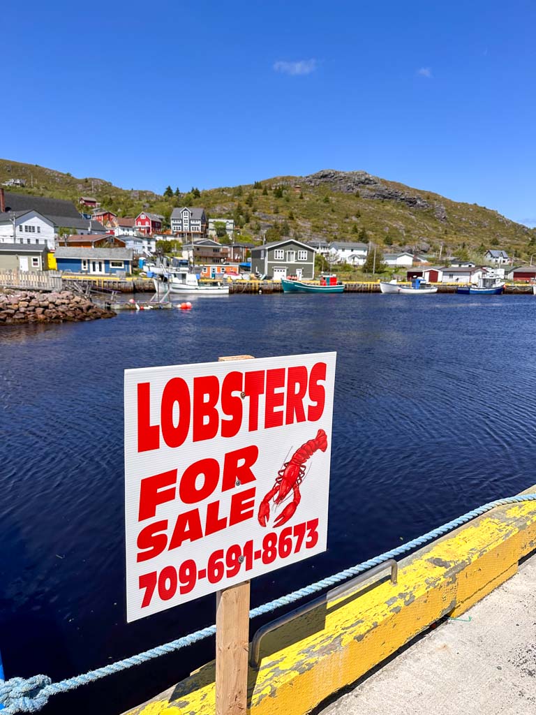 A "Lobsters for sale" sign at the docks in Petty Harbour