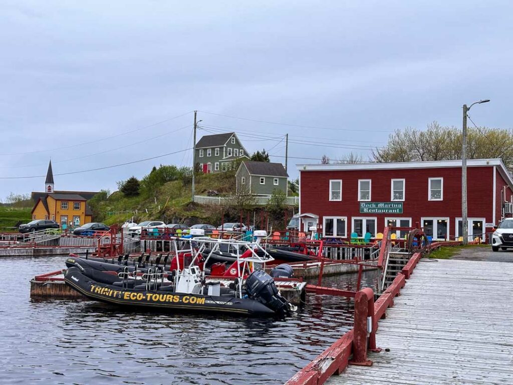 Trinity Eco-Tours boat at the Dock Marina