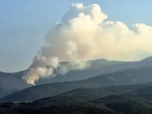 A plume of smoke rises above a forested mountain. Get tips for safe hiking in wildfire season
