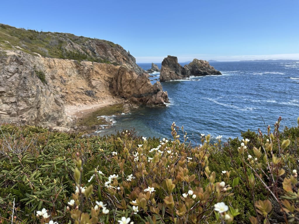 View from the Spillars Cove Trail on the Twillingate Rockcut Trails