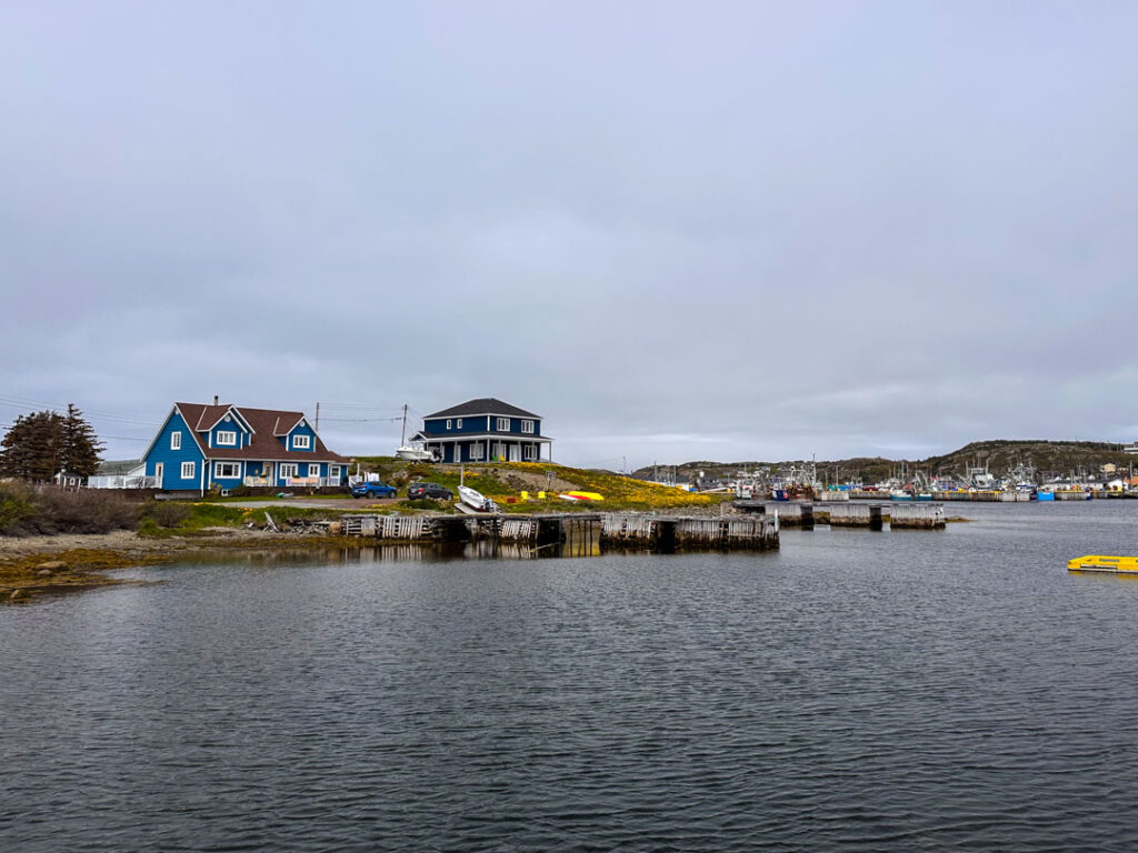 Houses along Twillingate Harbour