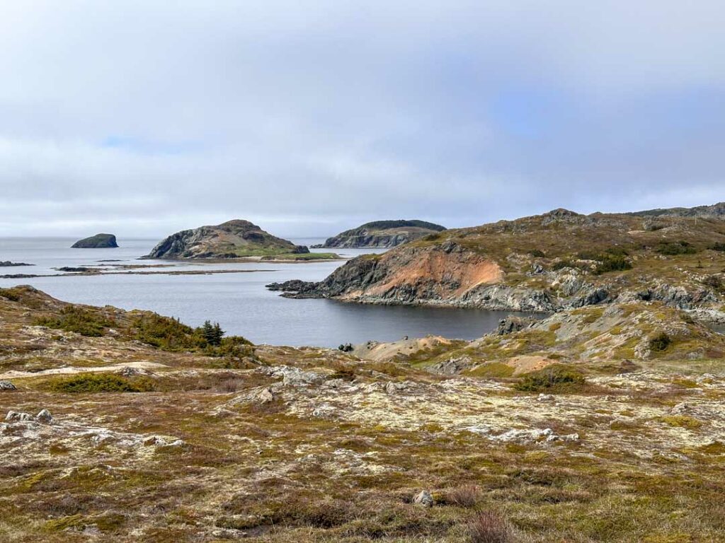 Looking north along the coast from Smith's Lookout in Twillingate