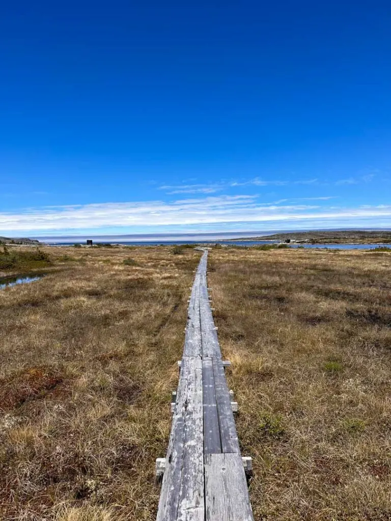 Boardwalk on the Shoal Bay Trail. 