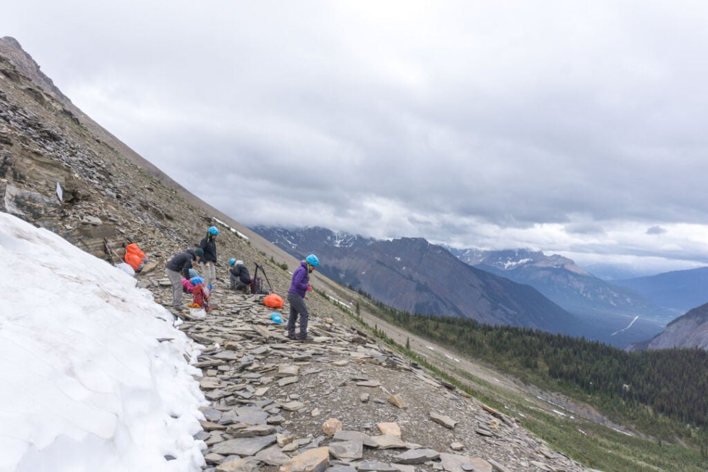 Hikers at the Walcott Quarry in Yoho National Park looking at Burgess Shale fossils