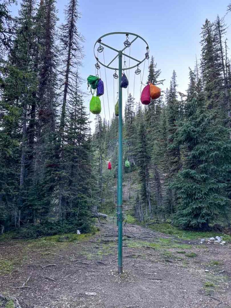 Food storage poles at the Little Yoho Valley Campground