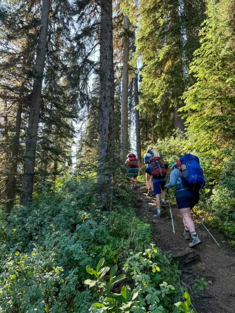 Hikers on a steep portion of the Iceline Trail in the forest.