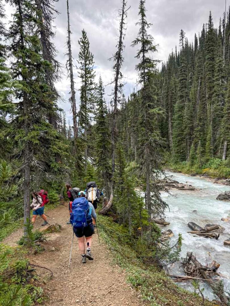 Hikers on the Yoho Valley Trail near Twin Falls Camp. 