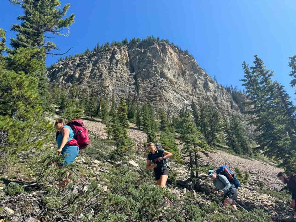 Hikers climb switchbacks on the Whaleback Trail in Yoho National Park