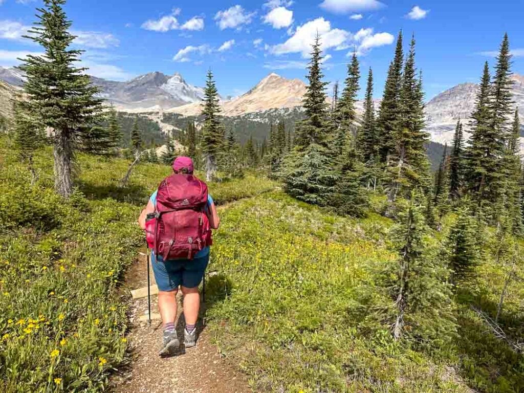 A hiker walks through a meadow on the Whaleback Trail in Yoho National Park