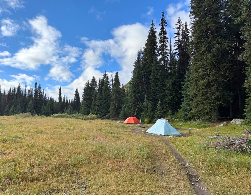 Tents in a meadow at Egypt Lake Campground