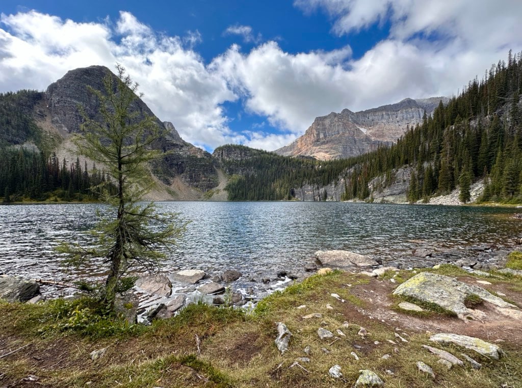 The shoreline of Egypt Lake