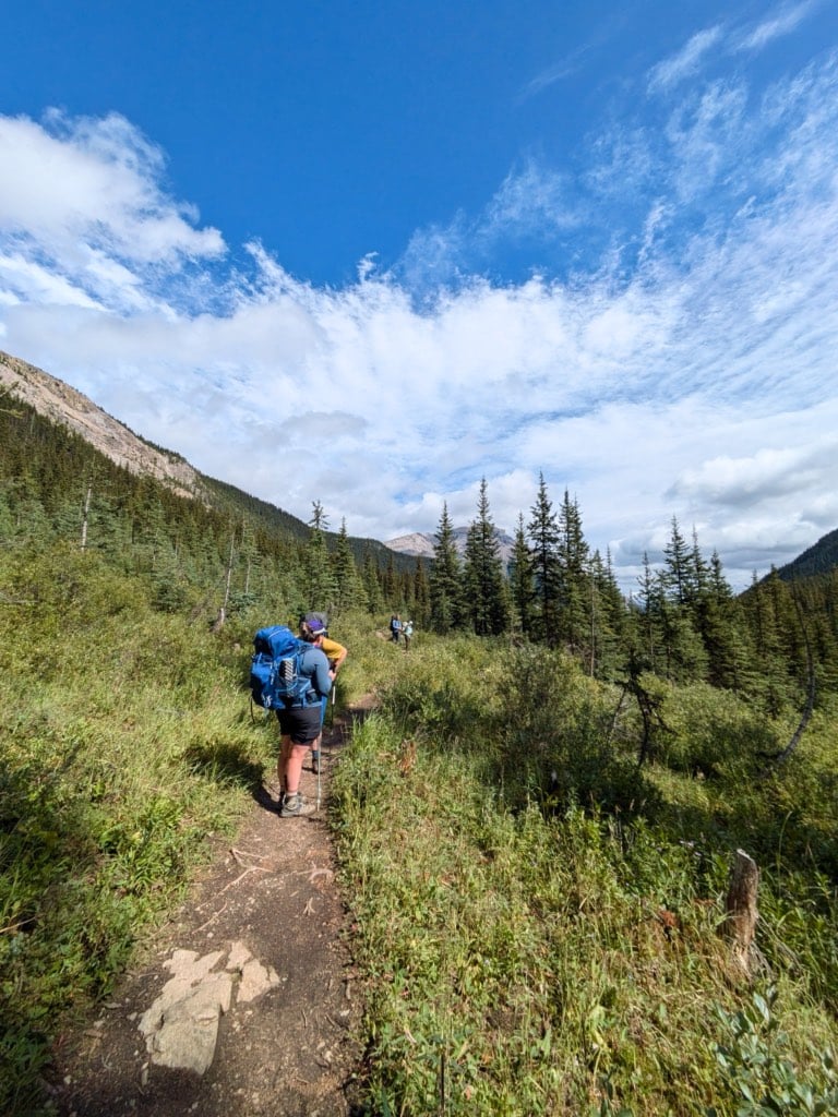 Hikers on a clearing in the trail on the route to Egypt Lake in Banff National Park