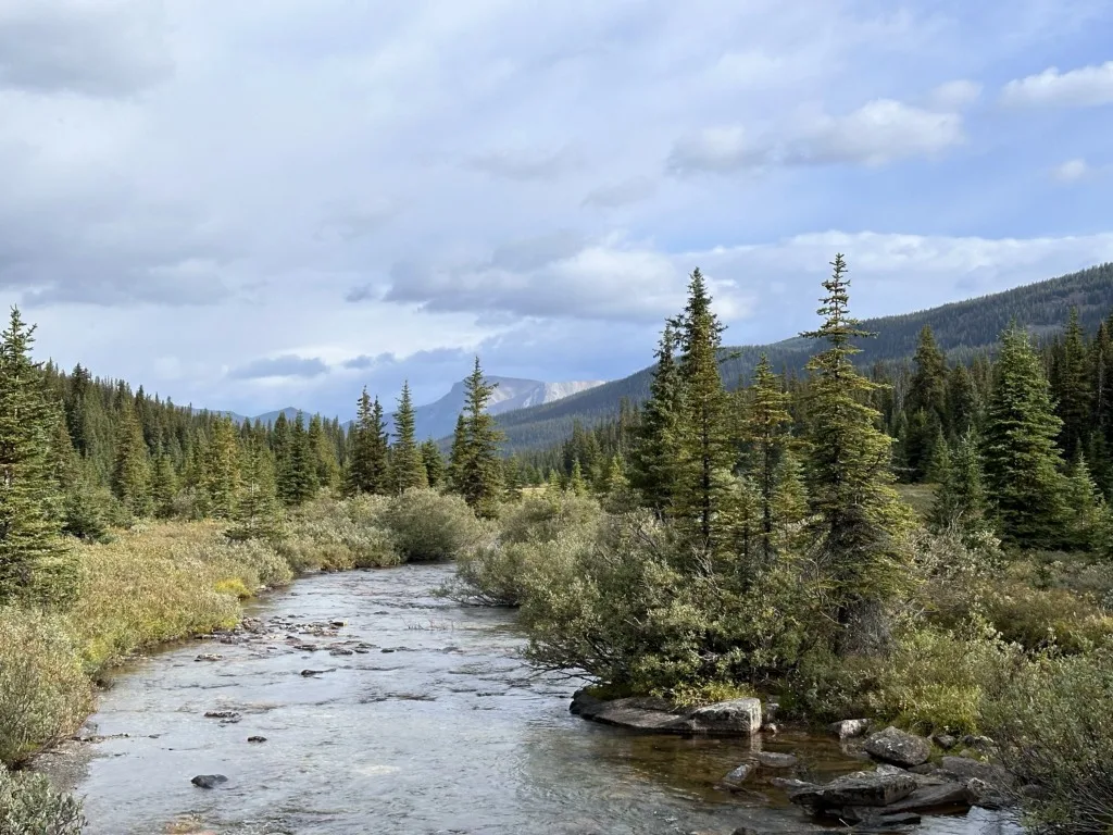 Looking north along Pharaoh Creek.