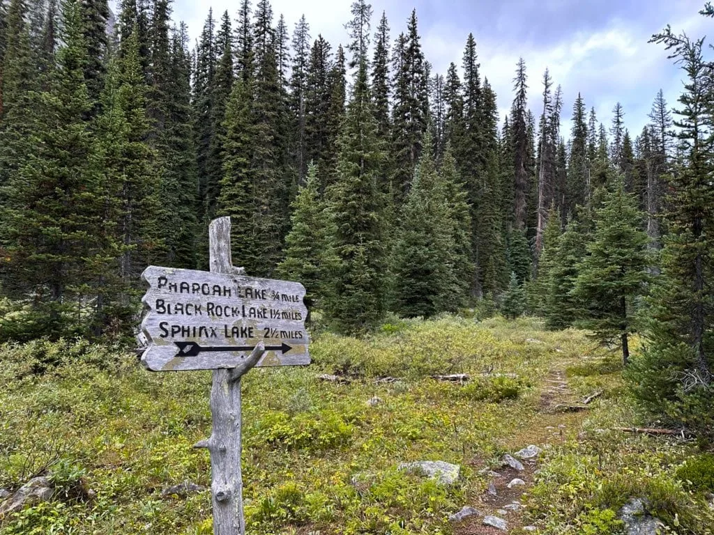 Hand-carved sign to Pharaoh and Black Rock Lakes