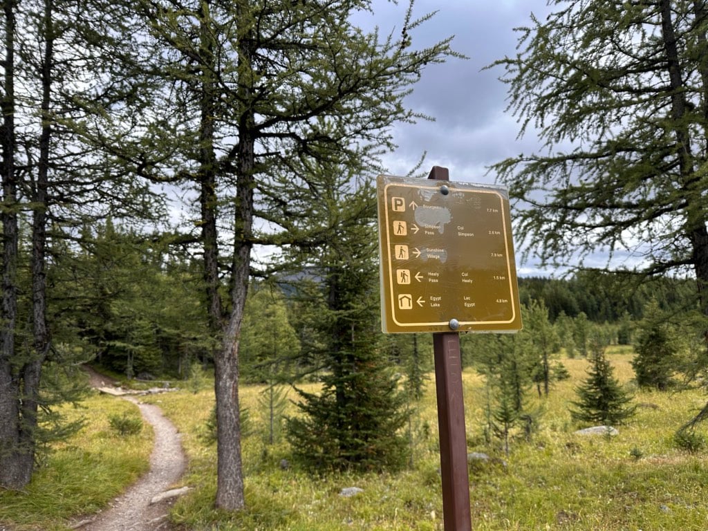 Trail sign at the junction between the Healy Pass and Simpson Pass Trails