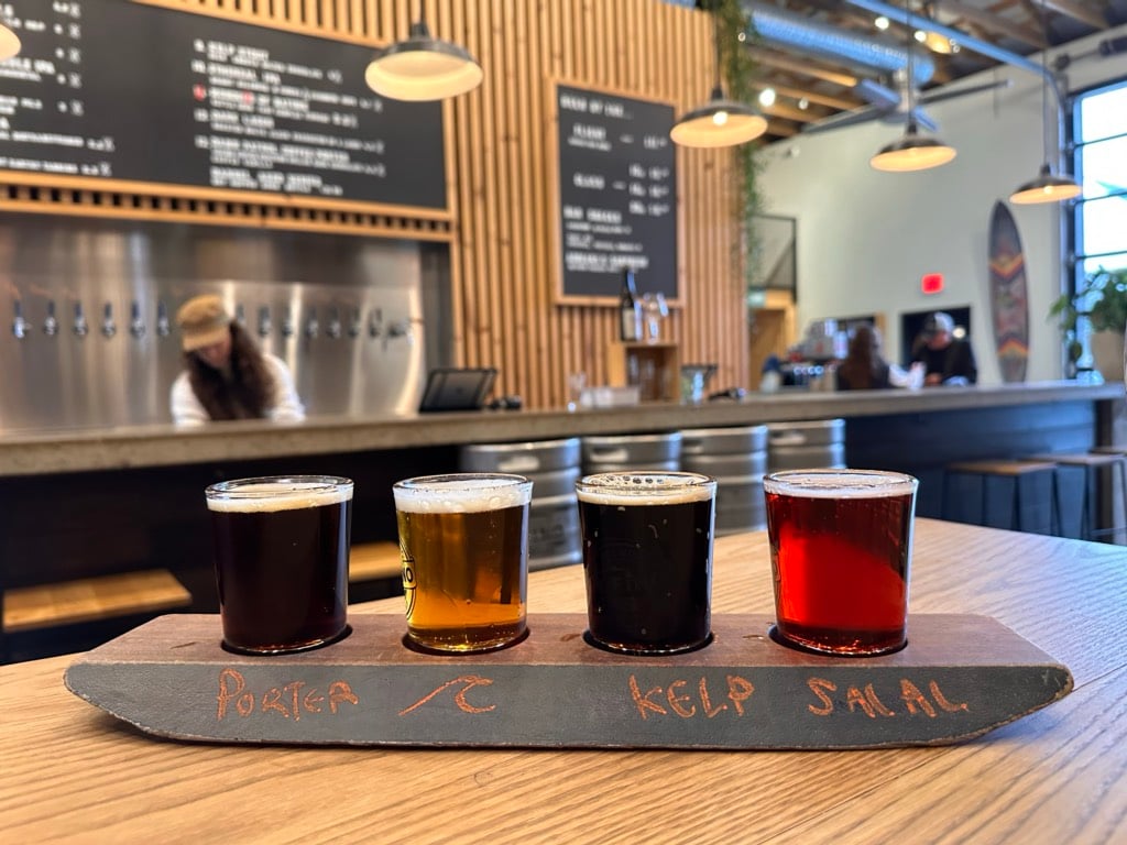 A light of four bears on a paddle at Tofino Brewing