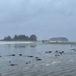 Waves crash on Chesterman Beach in Tofino in winter