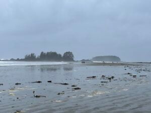 Waves crash on Chesterman Beach in Tofino in winter