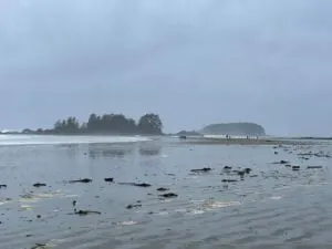 Waves crash on Chesterman Beach in Tofino in winter