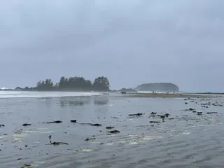 Waves crash on Chesterman Beach in Tofino in winter