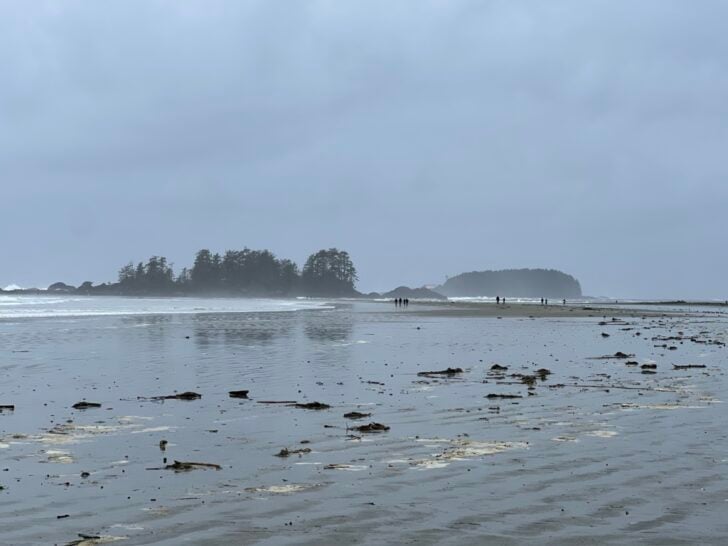 Visiting Tofino in Winter