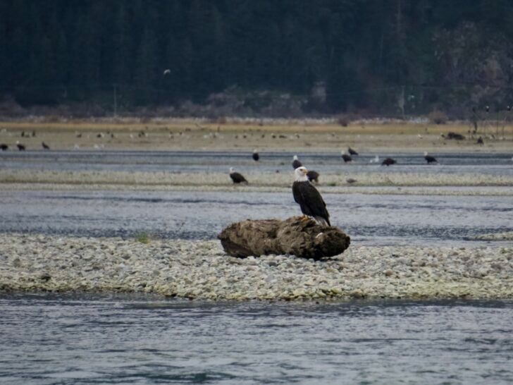 Visiting Harrison Hot Springs in Winter