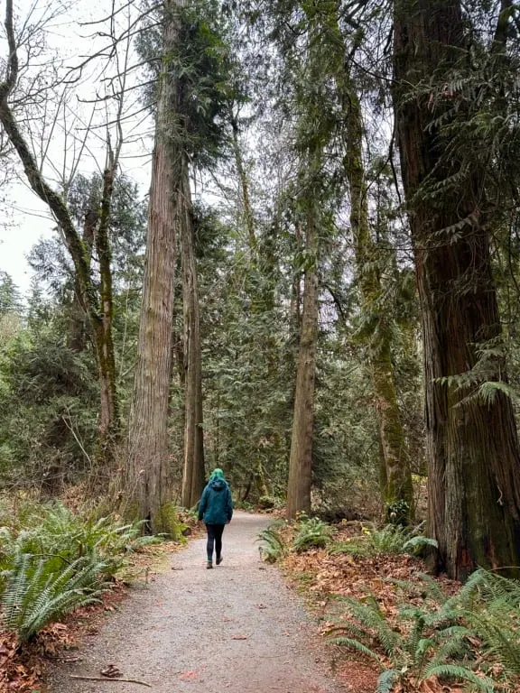 A woman in a green coat walks along a wide trail in Harrison Mills. 