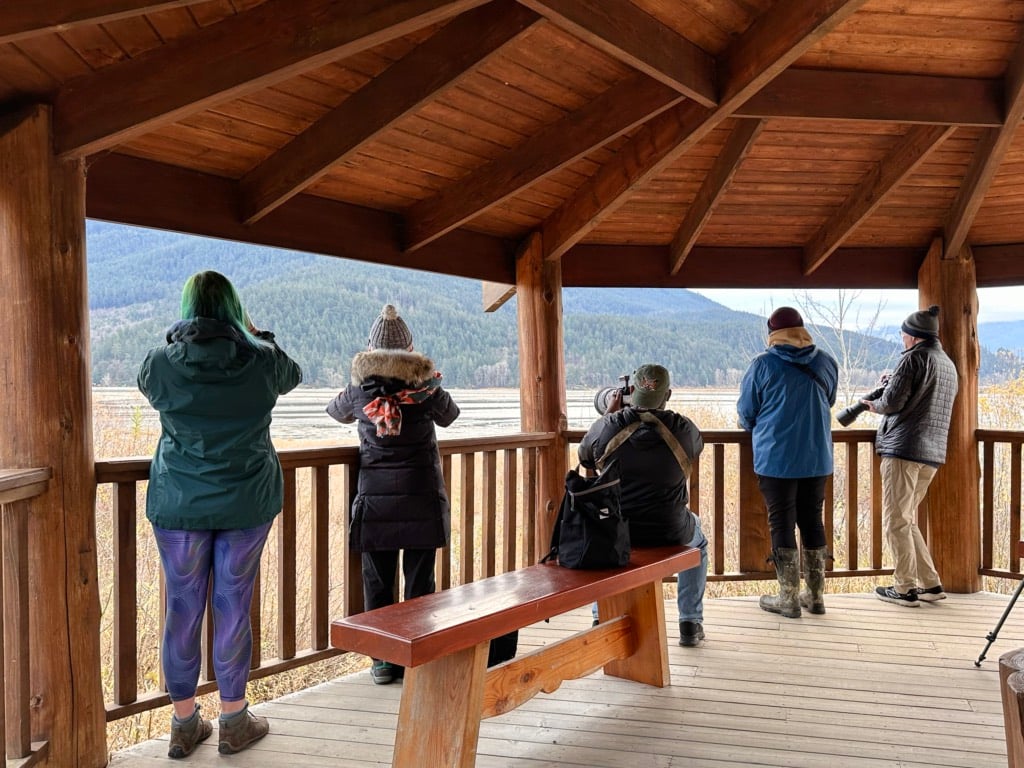 Bird watchers use cameras and binoculars to watch bald eagles at the Sandpiper Resort