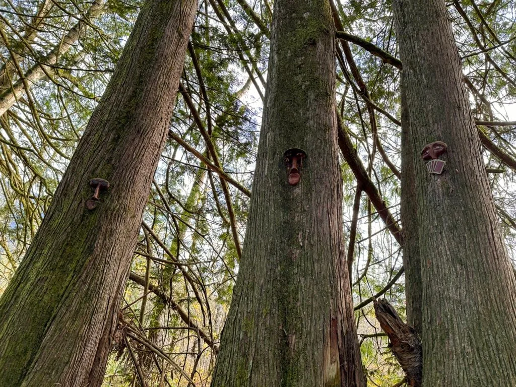 Three trees, each with a mask mounted on them, on the Spirit Trail in Harrison Hot Springs, BC