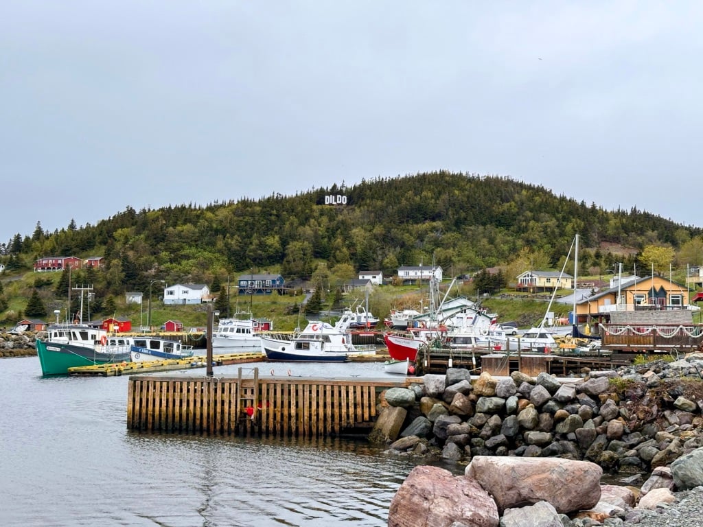 Boats in the harbour in Dildo, Newfoundland with the Dildo sign in the background