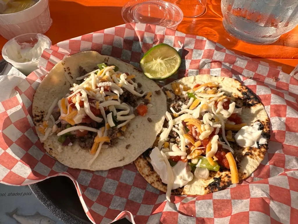 Moose meat tacos on a plate