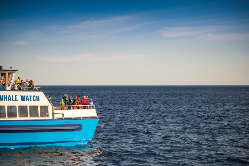 A whale watching boat in Witless Bay, Newfoundland