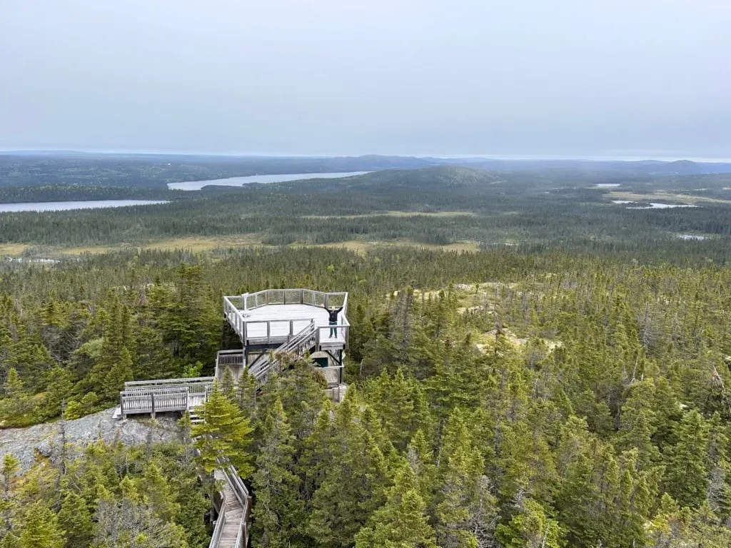 The view from the Ochre Hill Fire Tower in Terra Nova National Park