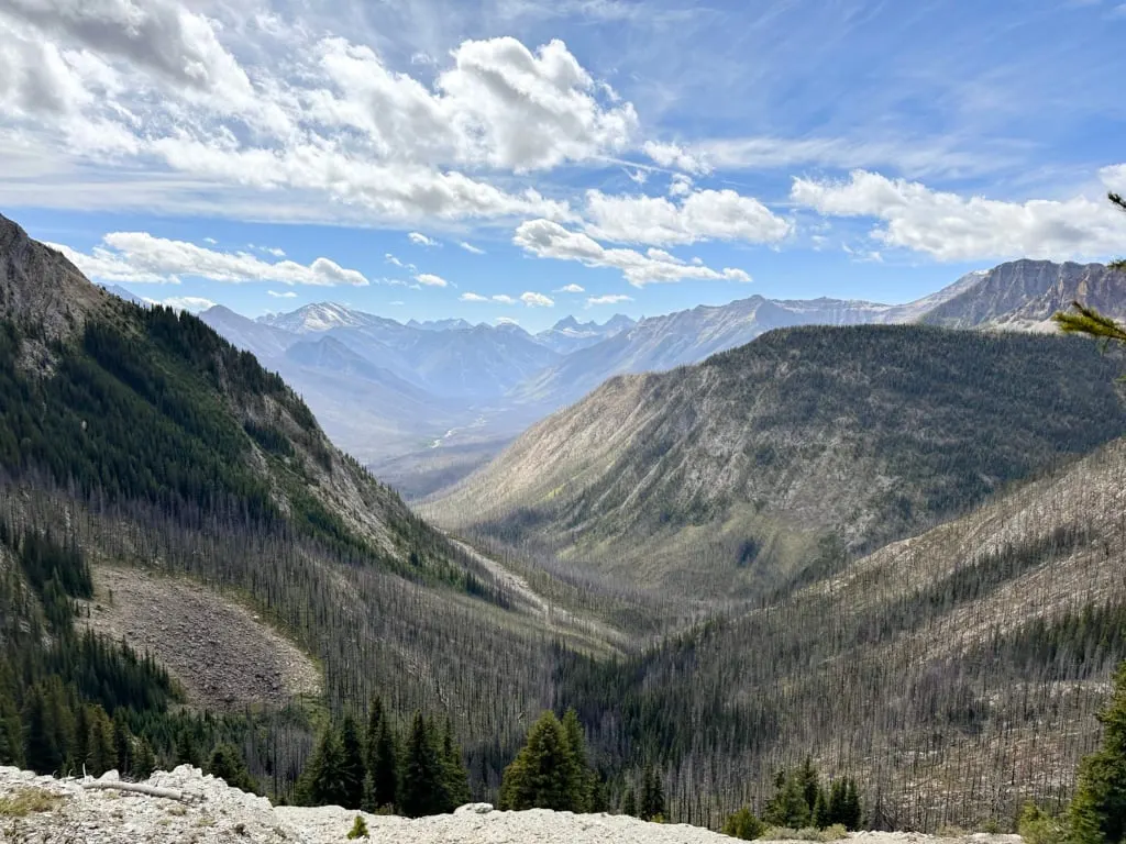 Looking down the Simpson Valley from the Sunshine Meadows trails