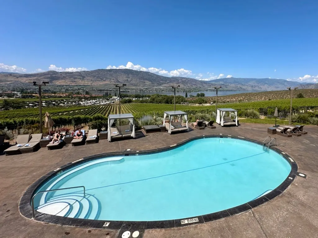 View from the patio at The Bear, The Fish, The Root & The Berry in Osoyoos
