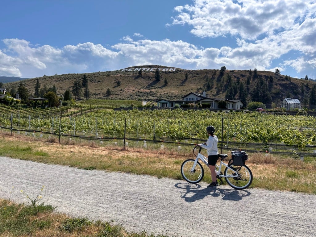 Biking through the vineyards on the Kettle Valley Rail Trail