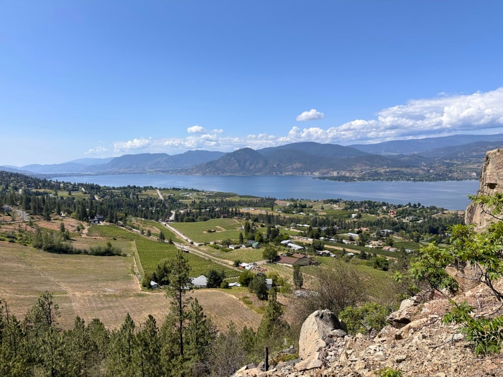Looking down onto the vineyards of the Naramata Bench