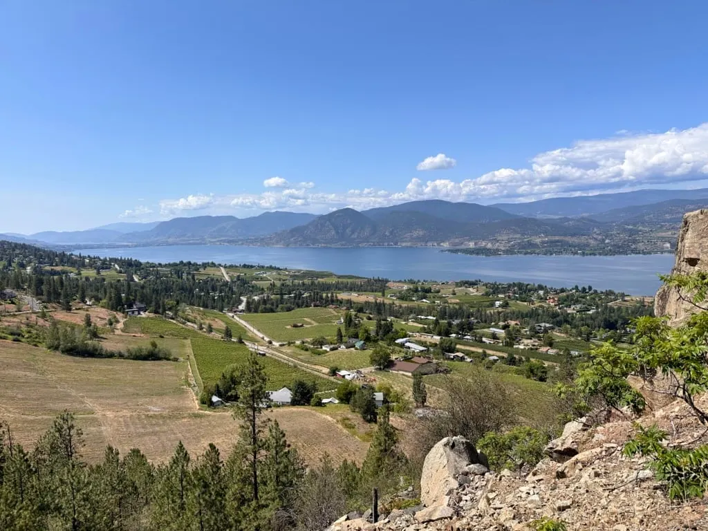 Looking down onto the vineyards of the Naramata Bench