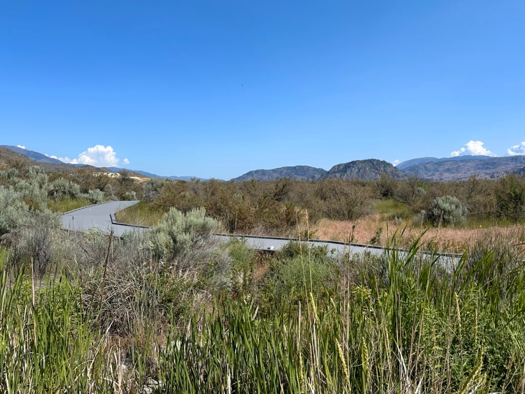 Boardwalk at the Osoyoos Desert Centre