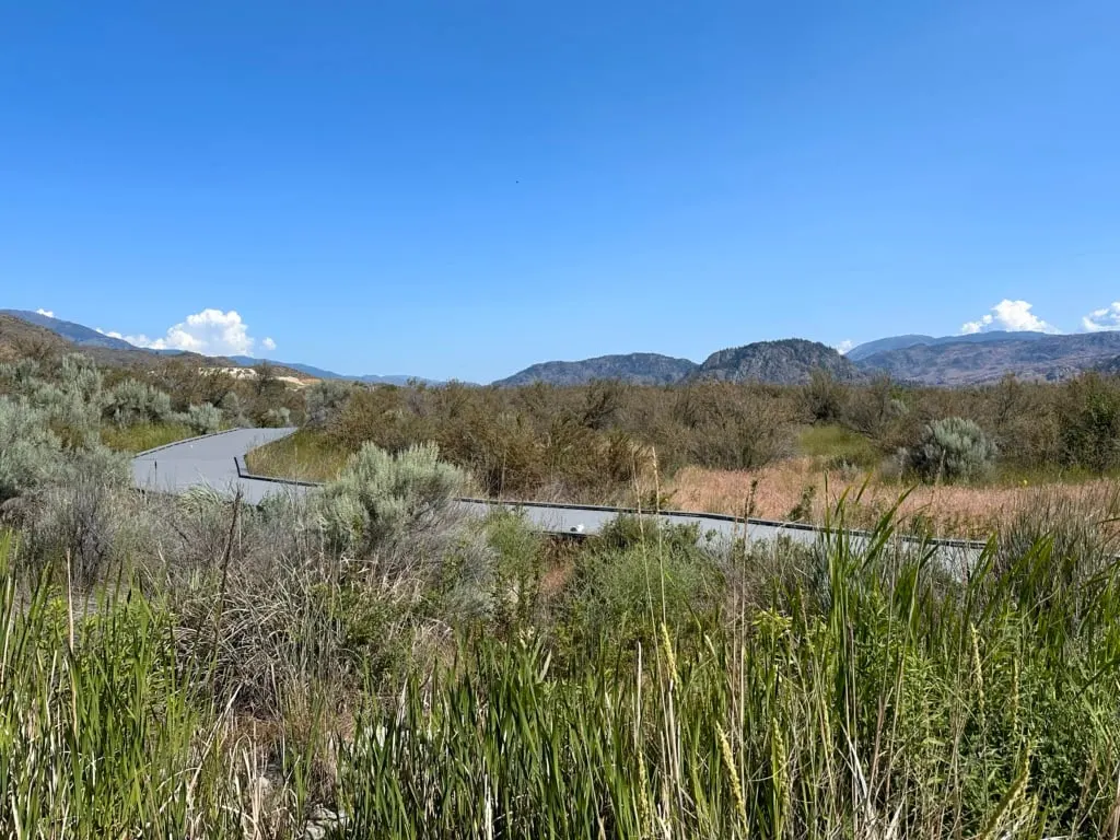 Boardwalk at the Osoyoos Desert Centre