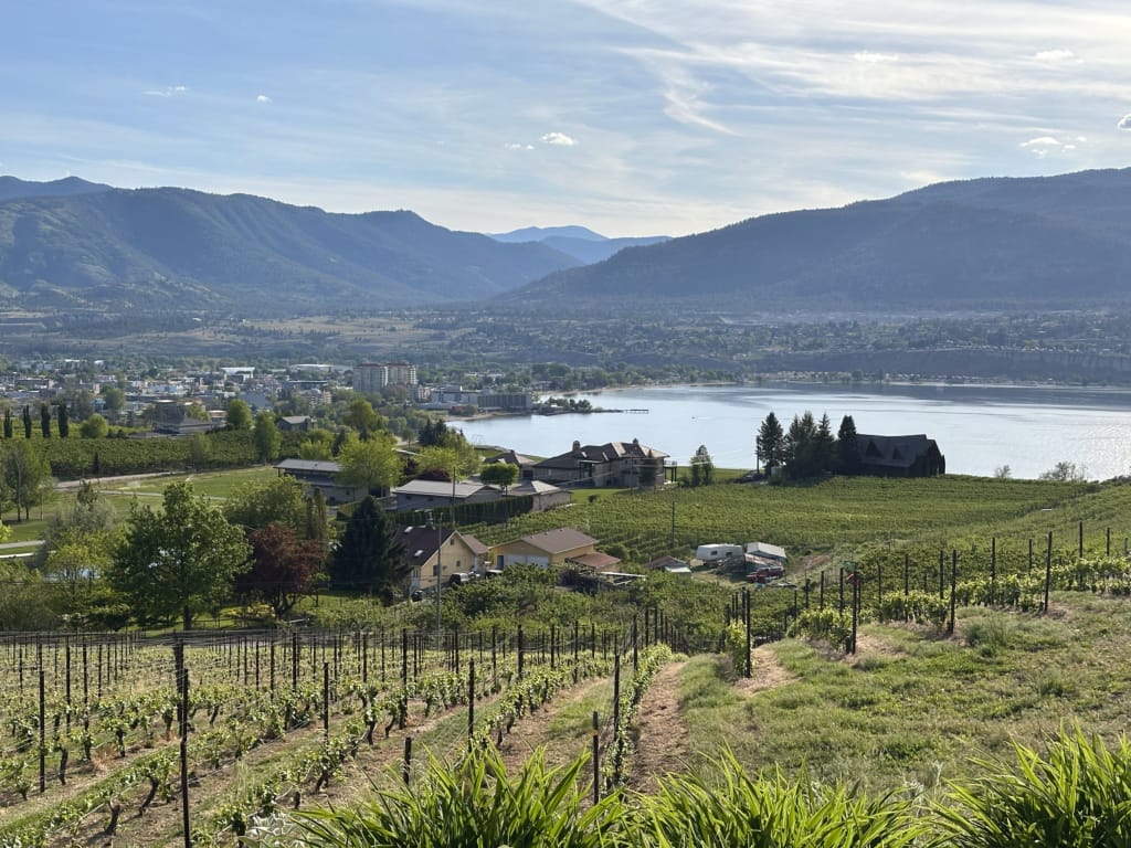The view from Poplar Grove Winery