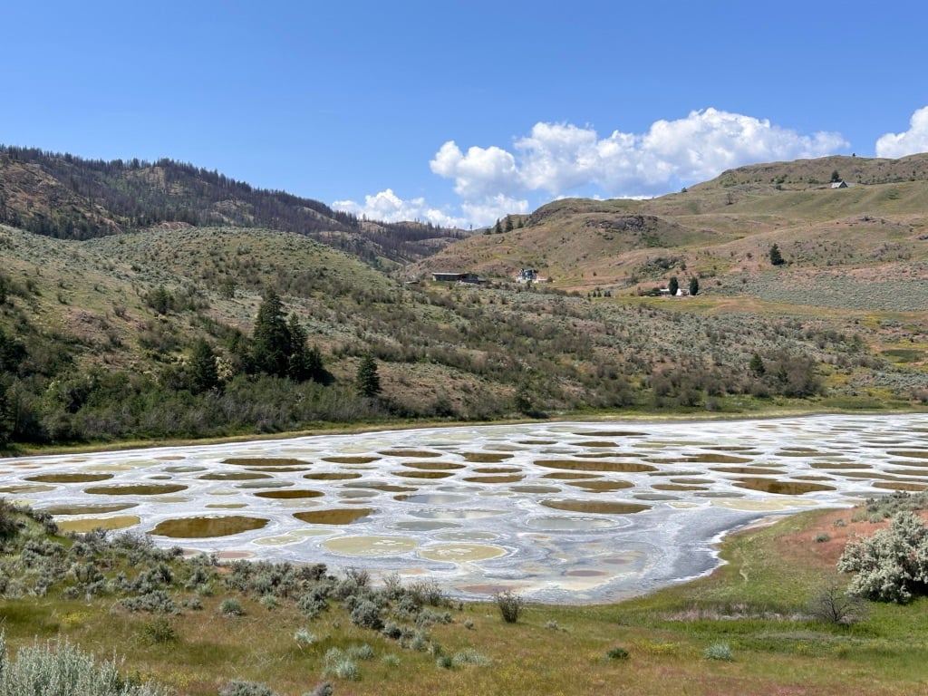 Spotted Lake in Osoyoos