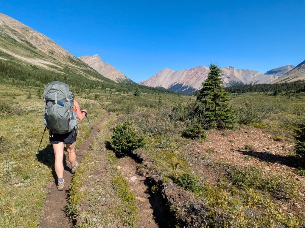 A hiker on the Cotton Grass Pass Trail