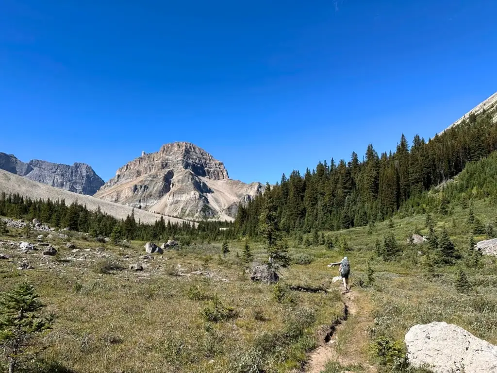 Jones Pass in Banff National Park