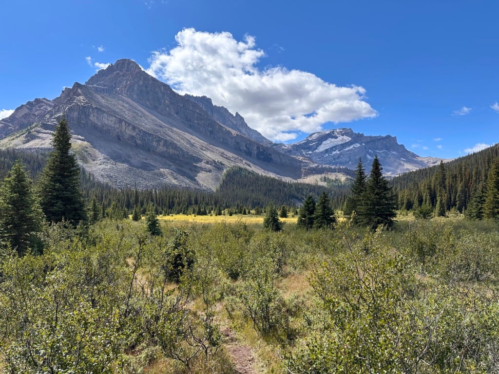 View of the mountains from near Merlin Meadows Camp